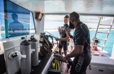 Scuba Do Diving