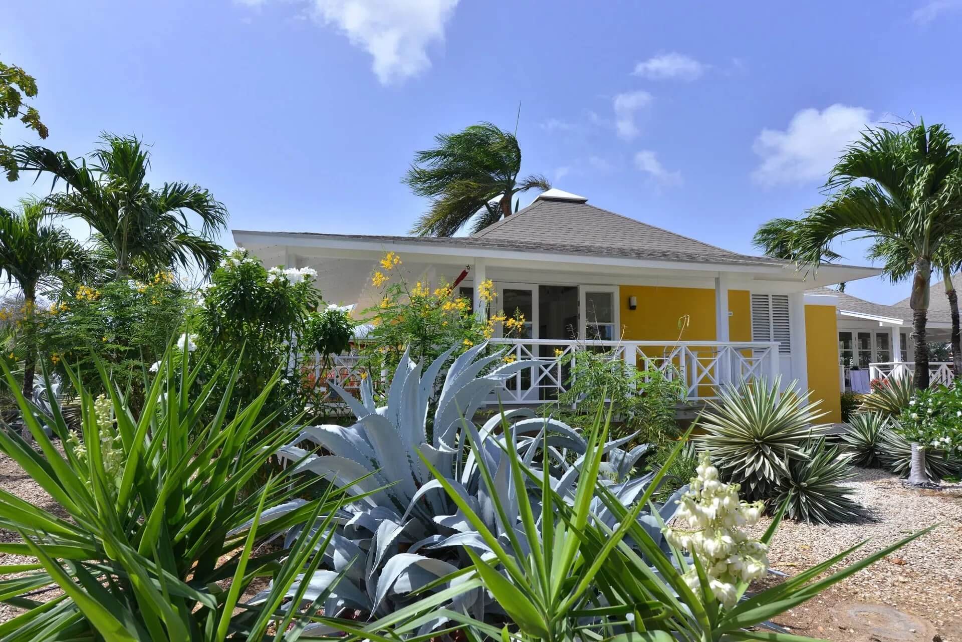 Chogogo Dive & Beach Resort