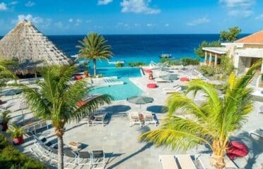 Coral Estate Luxury Resort